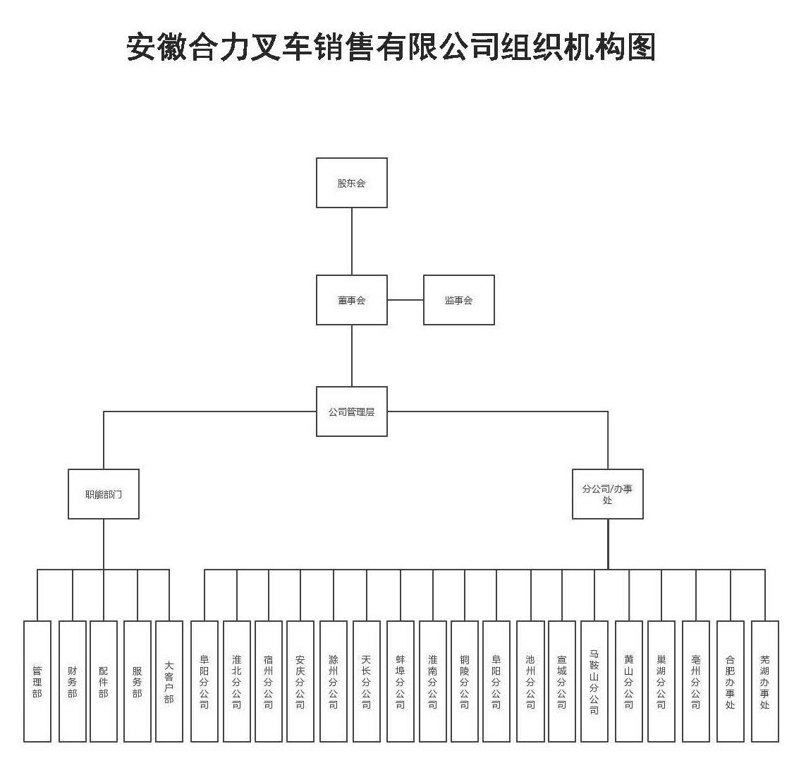 安徽尊龙凯时销售组织机构图.jpg